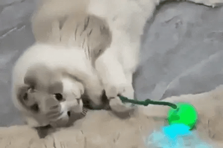 Pelota Interactiva para Gatos  (Turbo-PRO)