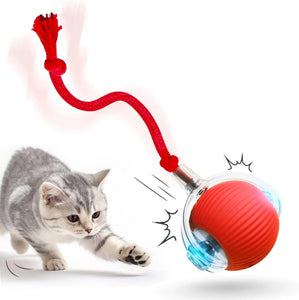 Pelota Interactiva para Gatos  (Turbo-PRO)