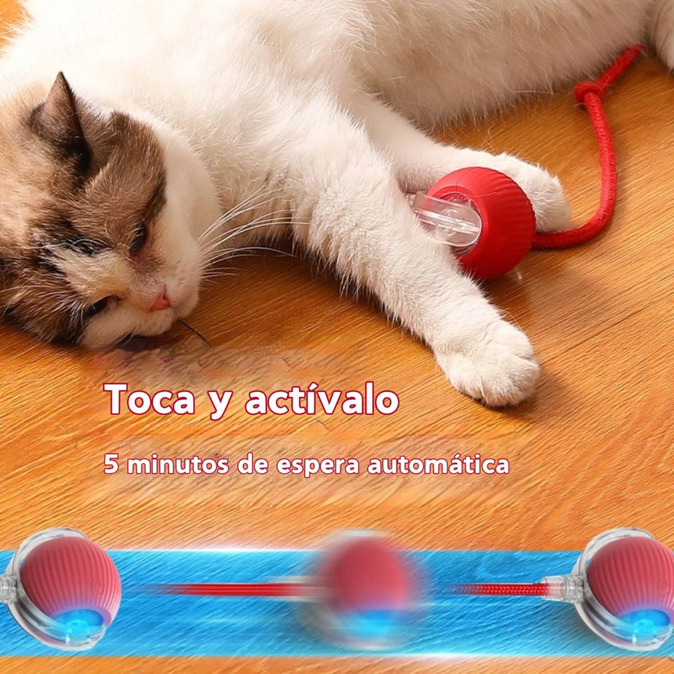 Pelota Interactiva para Gatos  (Turbo-PRO)